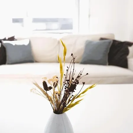 Lovely Modern 1 Bedroom Apartment